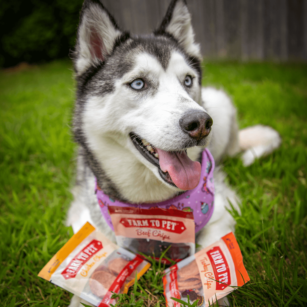 Dog Treat Sampler Pack for Picky Pups