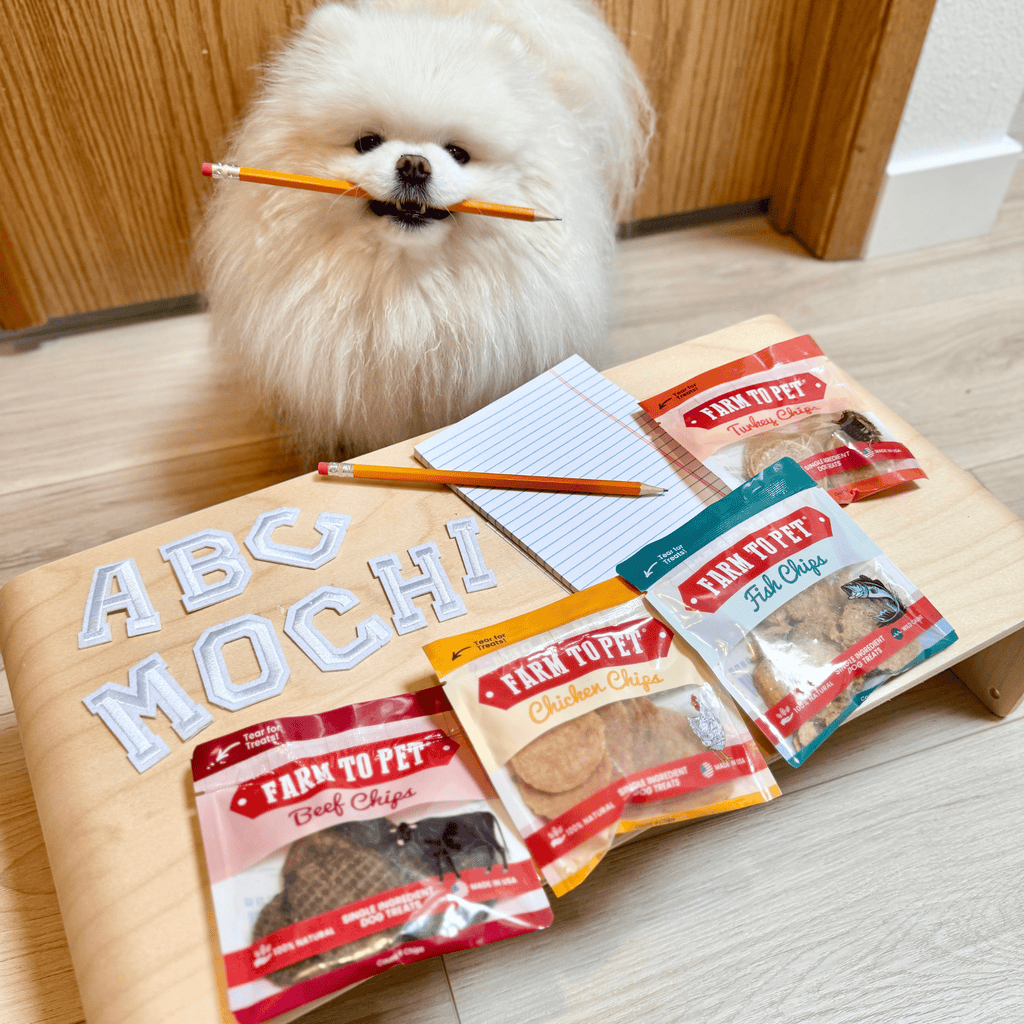 Dog Treat Sampler Pack for Picky Pups