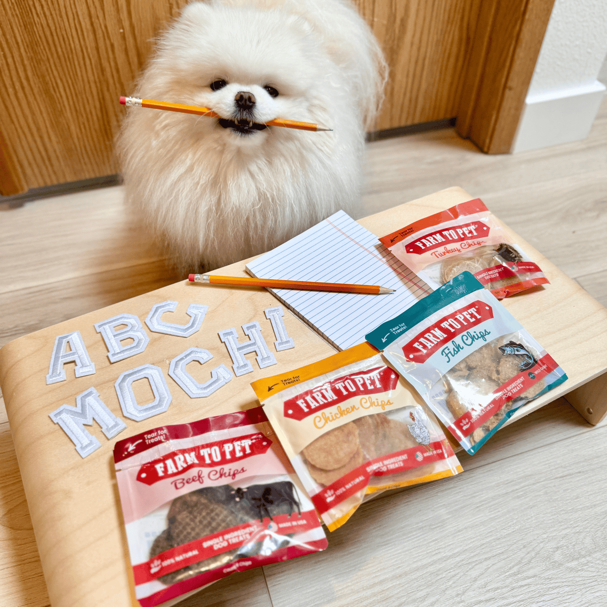 Dog Treat Sampler Pack for Picky Pups