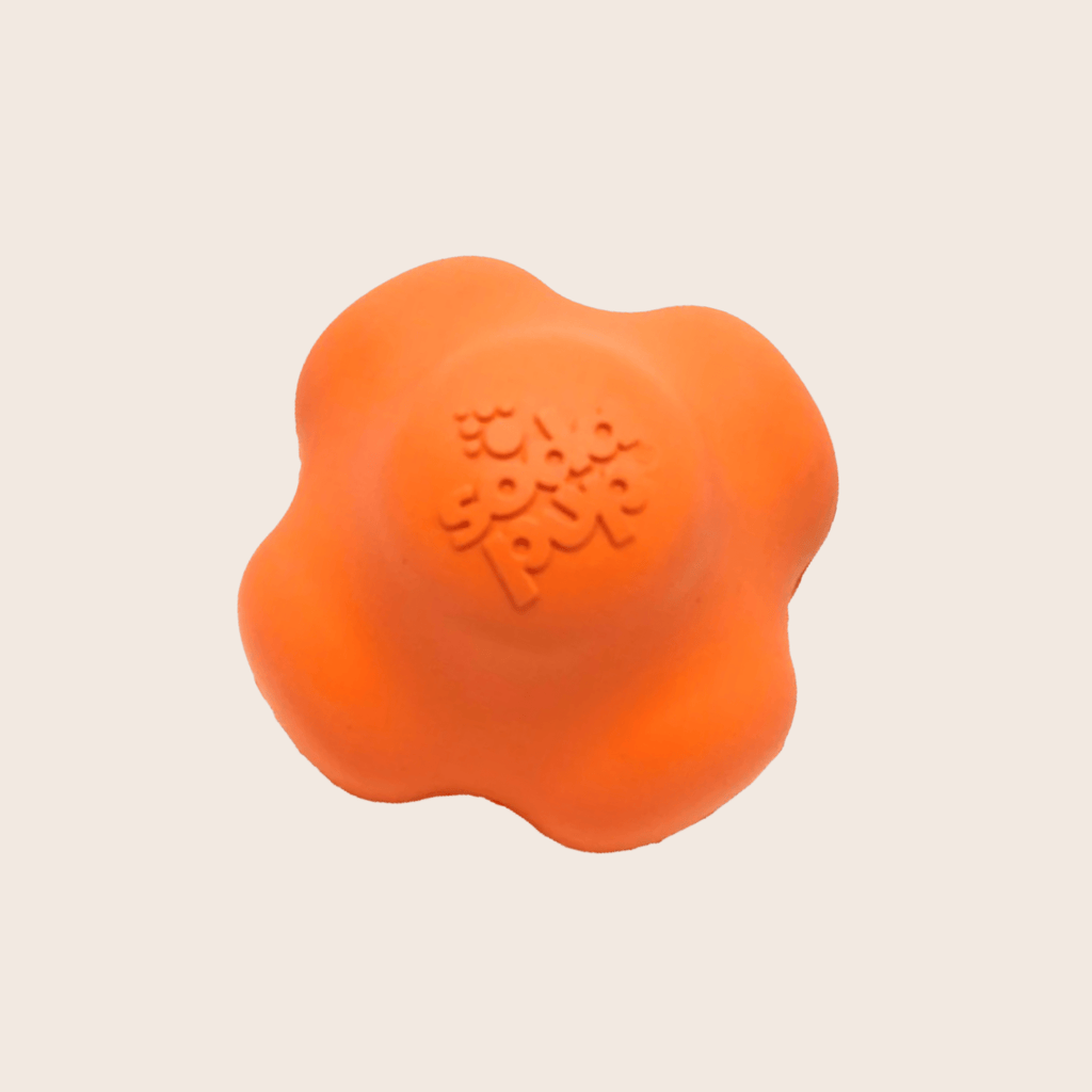 Dog Fetch Balls | Durable Interactive Toys for Active Dogs