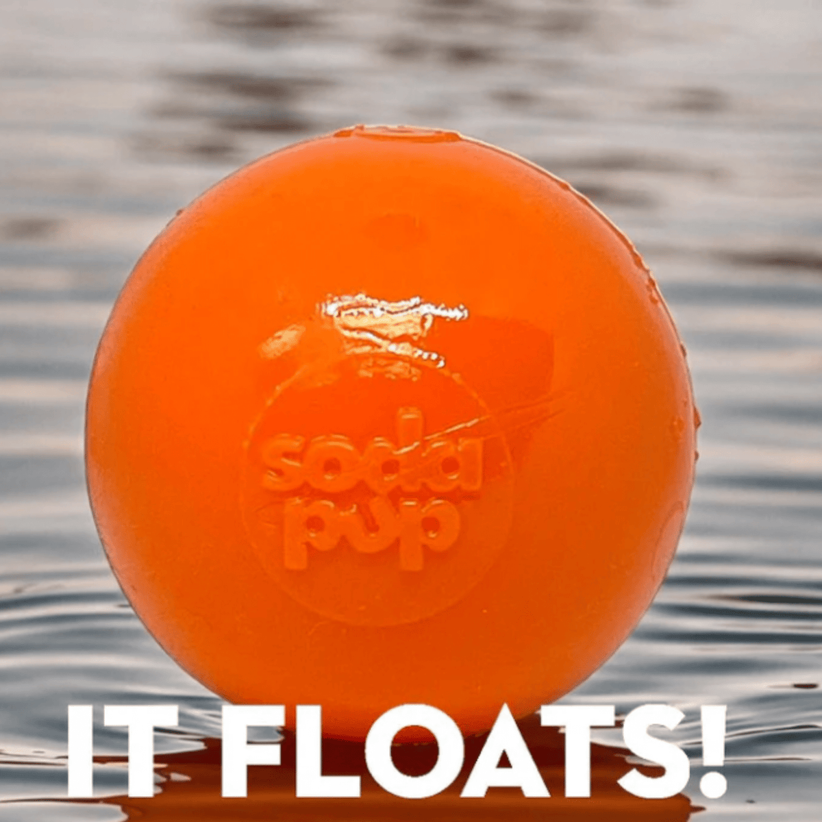 Dog Fetch Balls | Durable Interactive Toys for Active Dogs