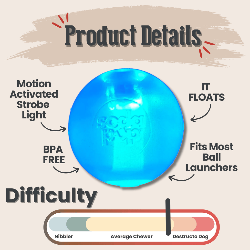 Dog Fetch Balls | Durable Interactive Toys for Active Dogs