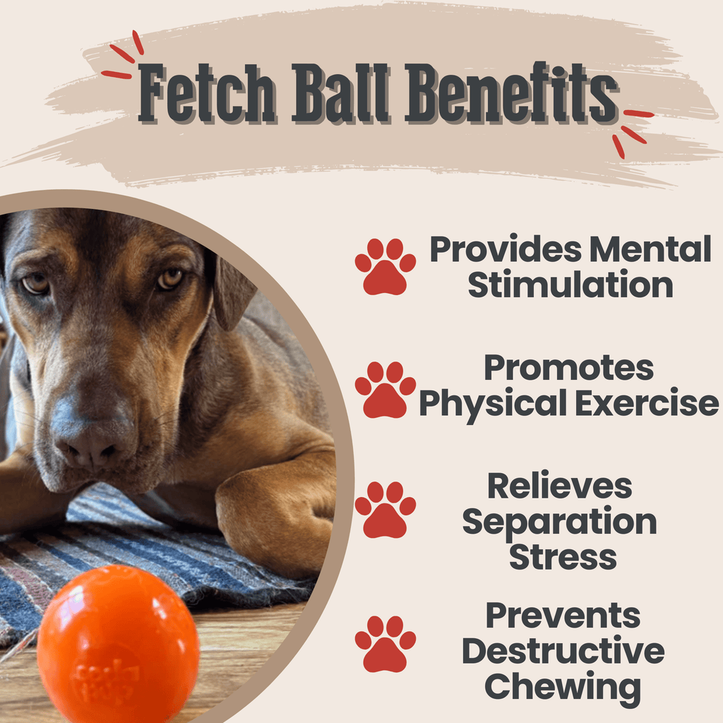 Dog Fetch Balls | Durable Interactive Toys for Active Dogs