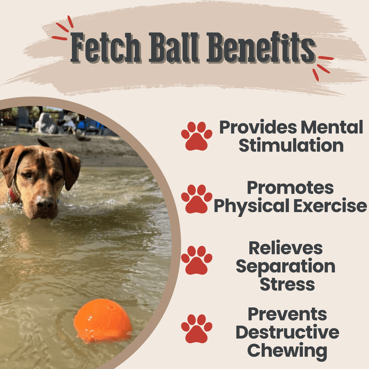 Dog Fetch Balls | Durable Interactive Toys for Active Dogs