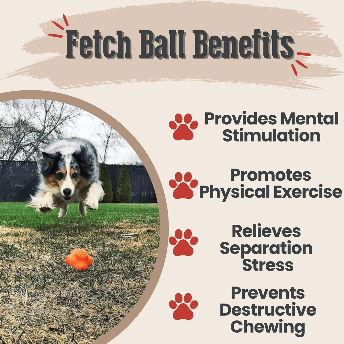 Dog Fetch Balls | Durable Interactive Toys for Active Dogs
