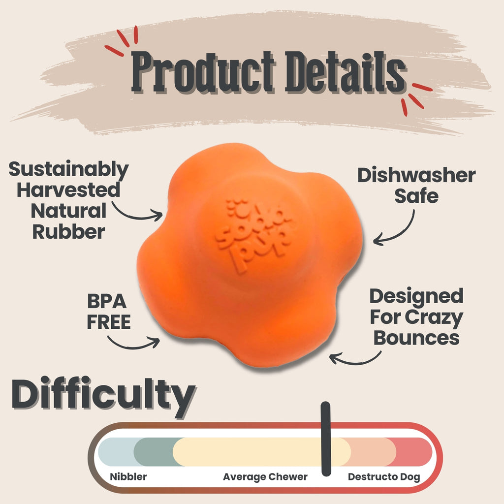 Dog Fetch Balls | Durable Interactive Toys for Active Dogs