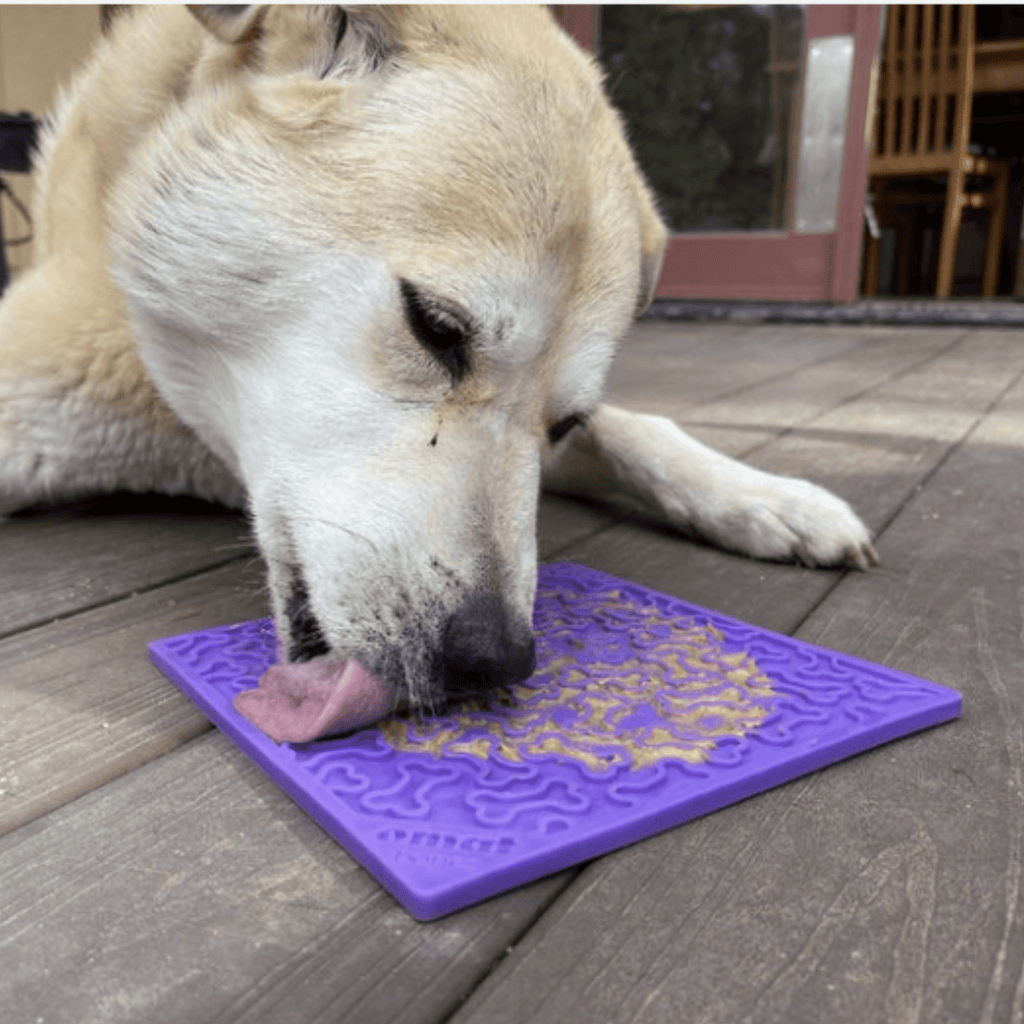 Dog Lick Mats | Slow Feeder & Enrichment Mat for Dogs