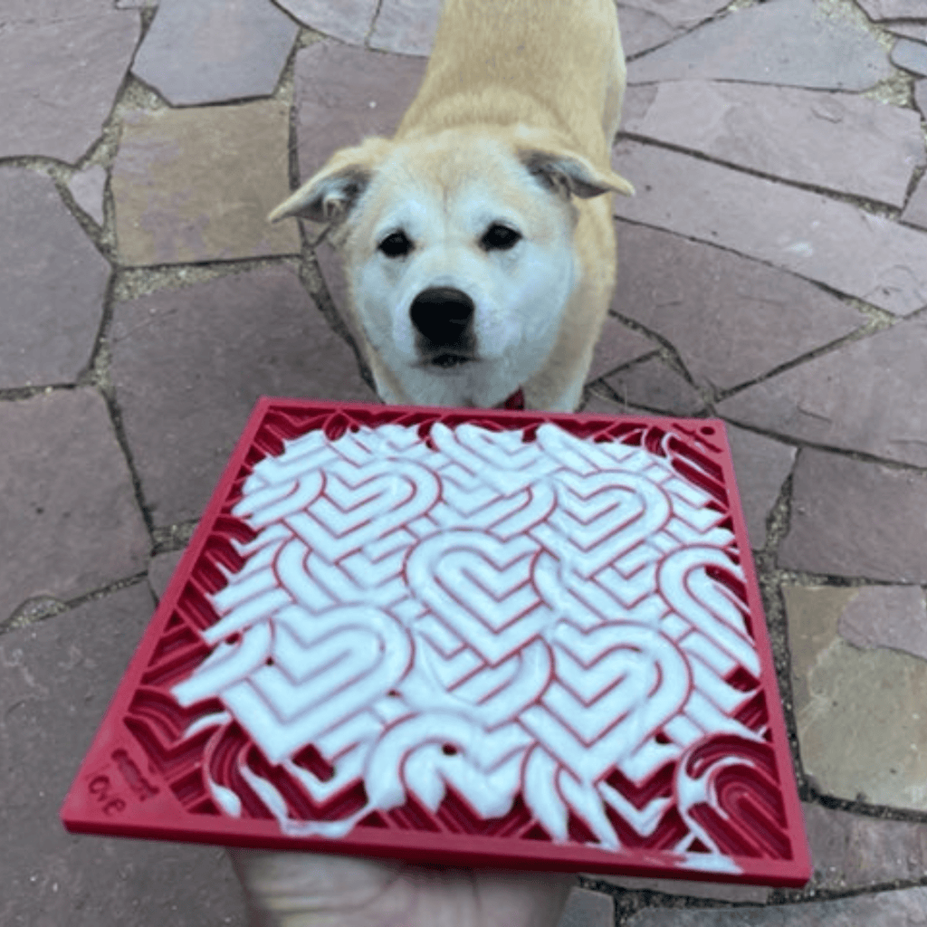 Dog Lick Mats | Slow Feeder & Enrichment Mat for Dogs