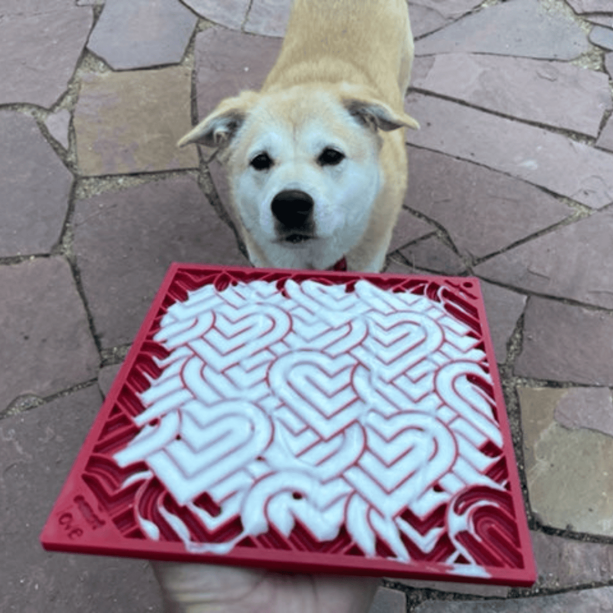 Dog Lick Mats | Slow Feeder & Enrichment Mat for Dogs