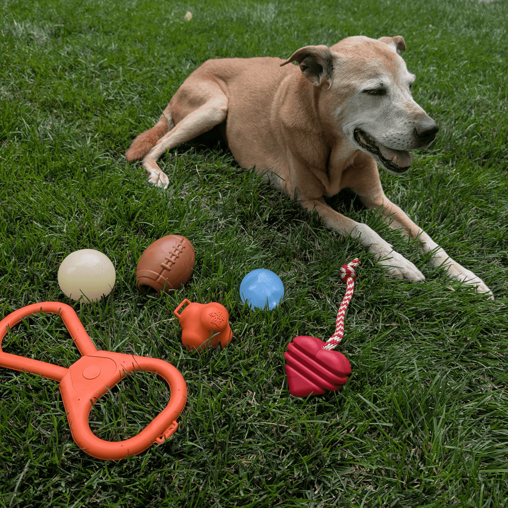 Dog Fetch Balls | Durable Interactive Toys for Active Dogs