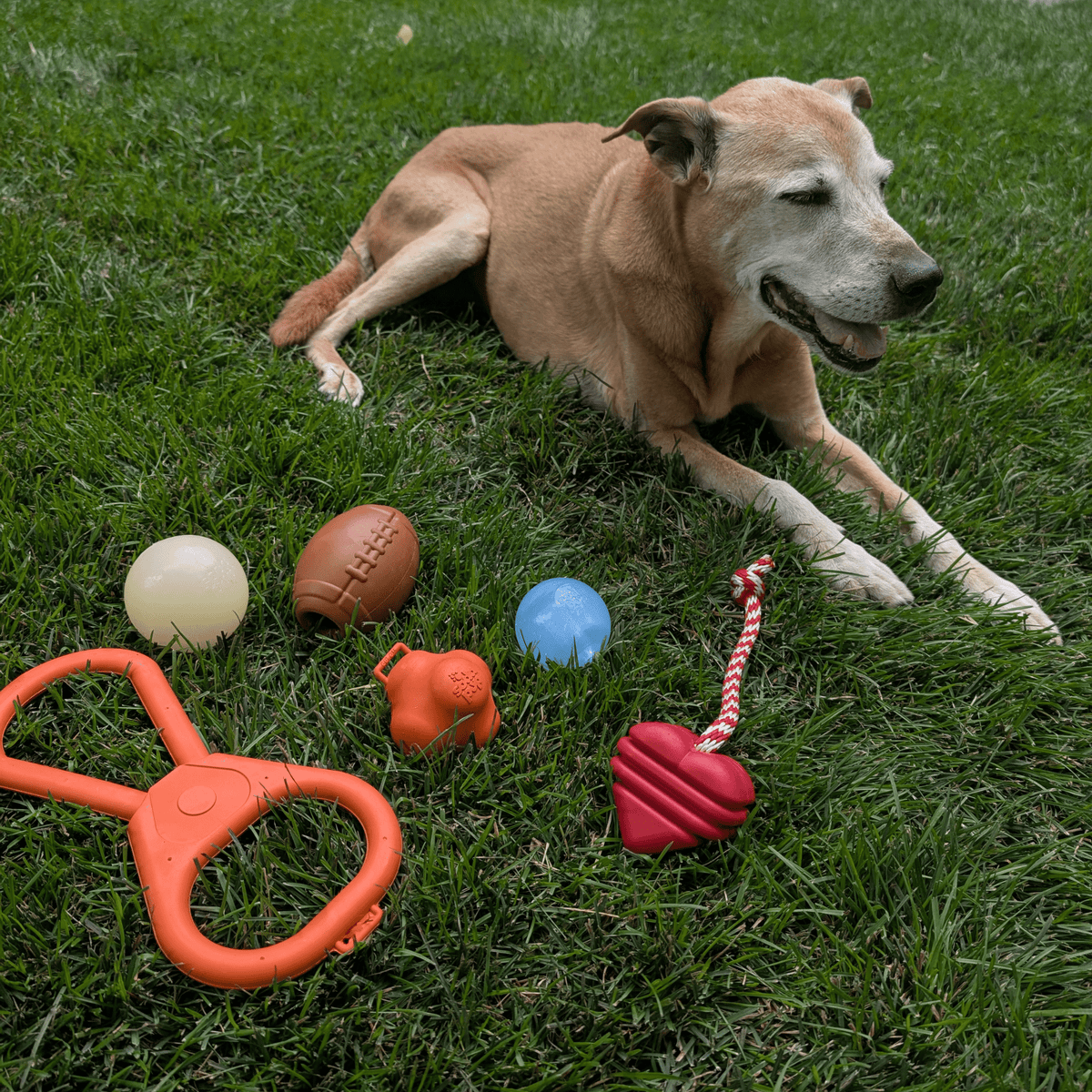 Dog Fetch Balls | Durable Interactive Toys for Active Dogs
