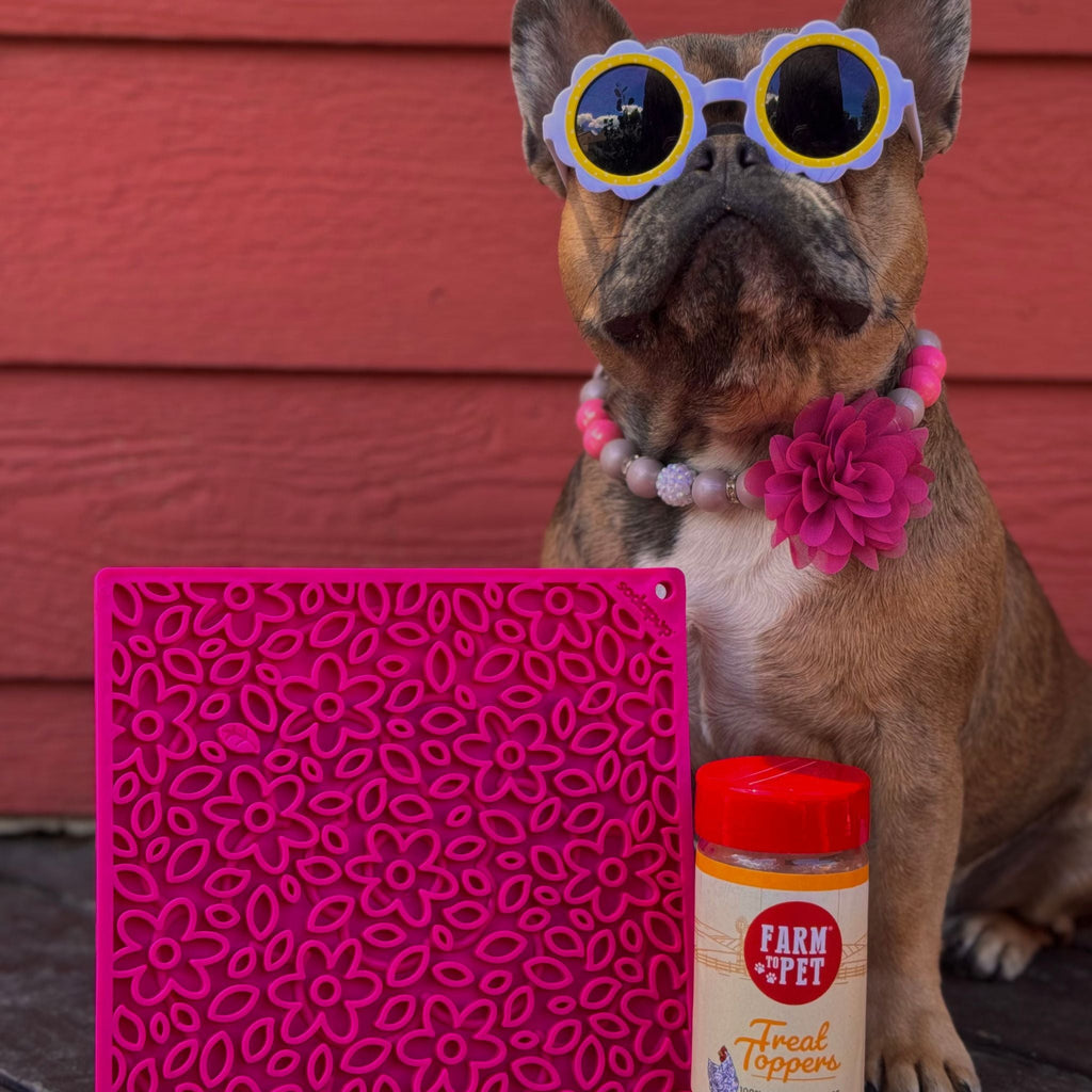 Dog Lick Mats | Slow Feeder & Enrichment Mat for Dogs