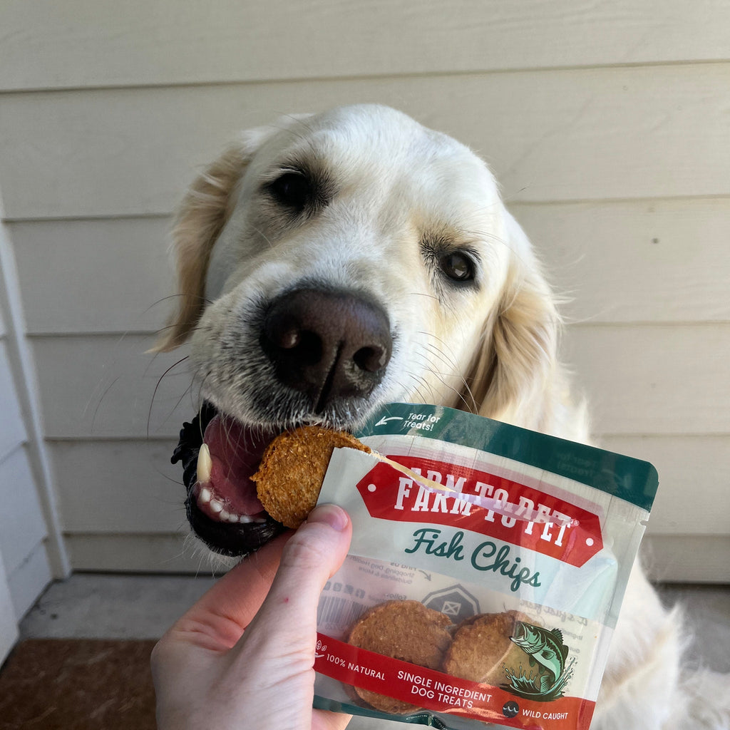 Dog Treat Sampler Pack for Picky Pups