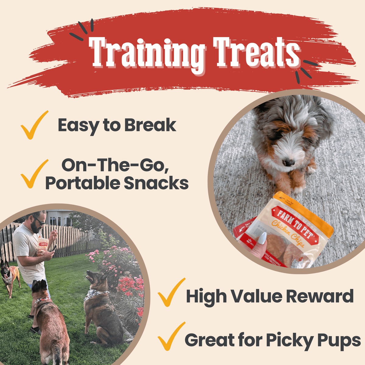 Dog Treat Sampler Pack for Picky Pups