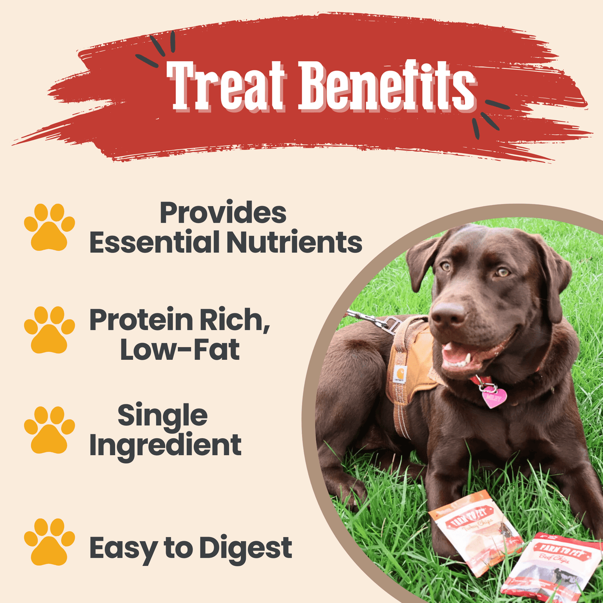 Dog Treat Sampler Pack for Picky Pups