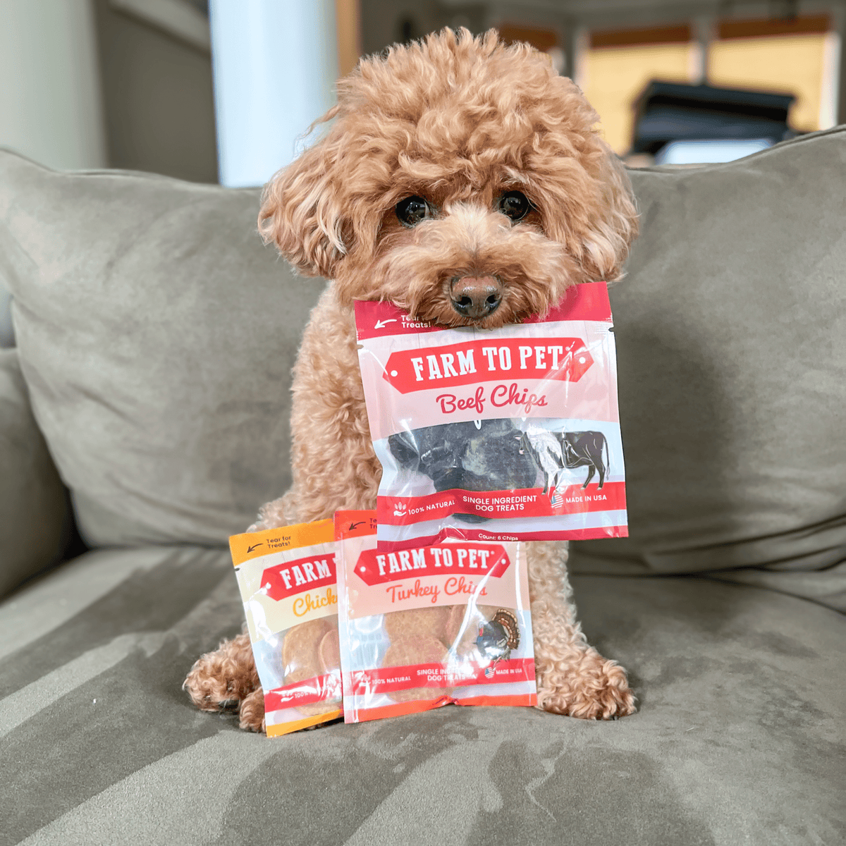 Dog Treat Sampler Pack for Picky Pups
