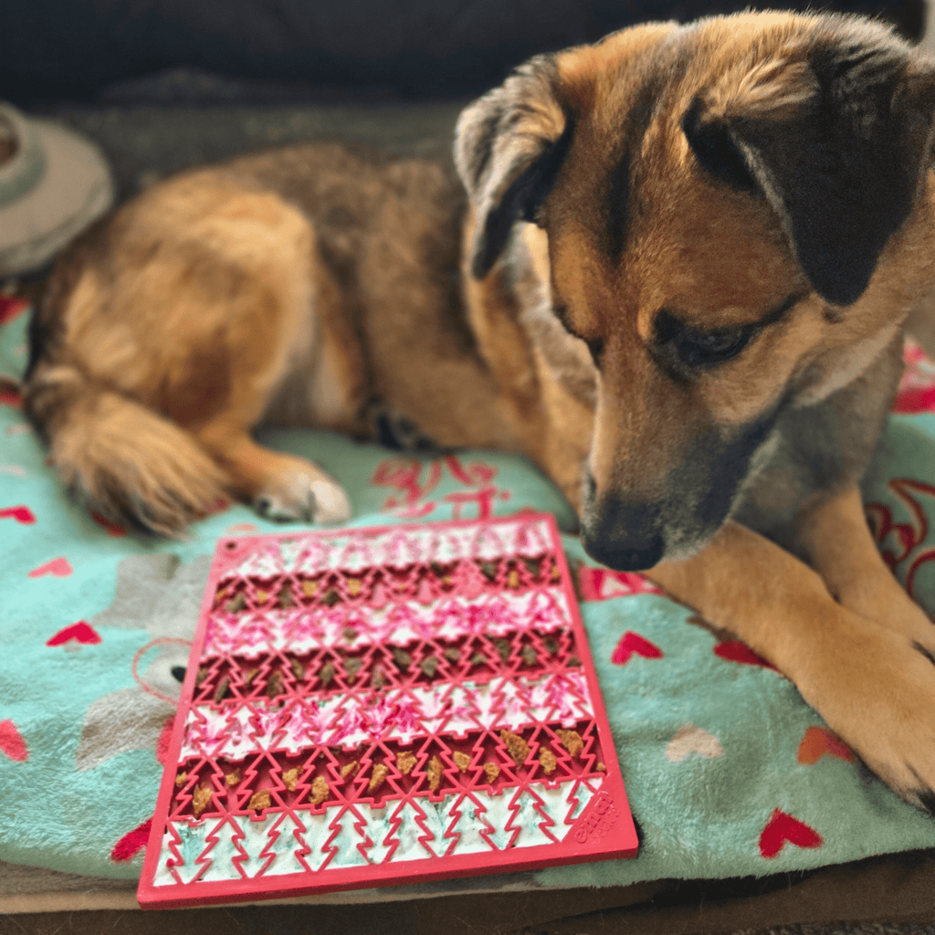 Dog Lick Mats | Slow Feeder & Enrichment Mat for Dogs