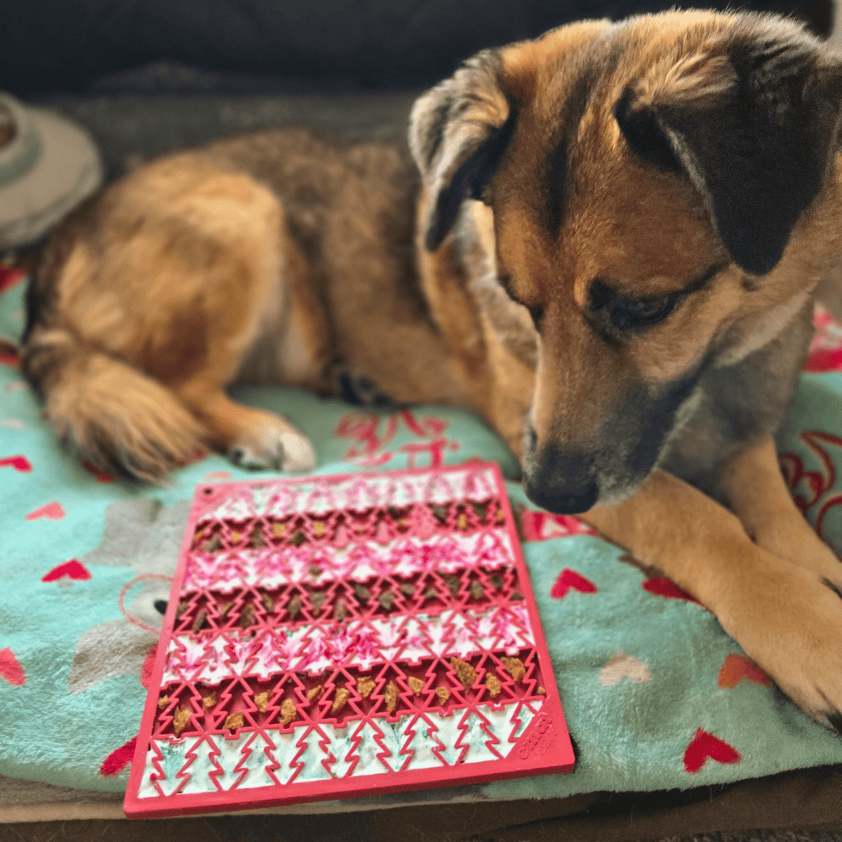 Dog Lick Mats | Slow Feeder & Enrichment Mat for Dogs